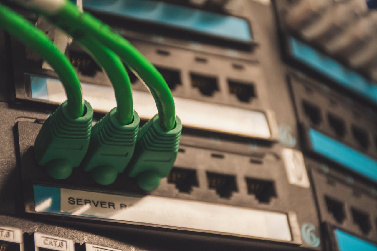 services-01 Close-up of green network cables plugged into server ports, showcasing technology setup.